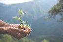 VII OLIMPÍADA DO MEIO AMBIENTE DO CAVN ESTÁ COM INSCRIÇÕES ABERTAS